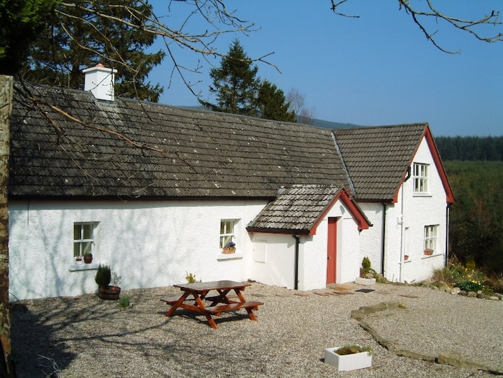 Beautifully restored traditional Wicklow cottage Cottages for Rent in