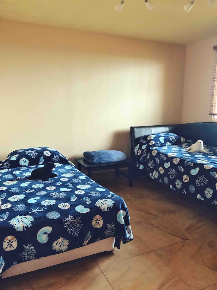 Room with 2 single beds. 