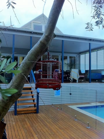 The Freshwater gallery image 2