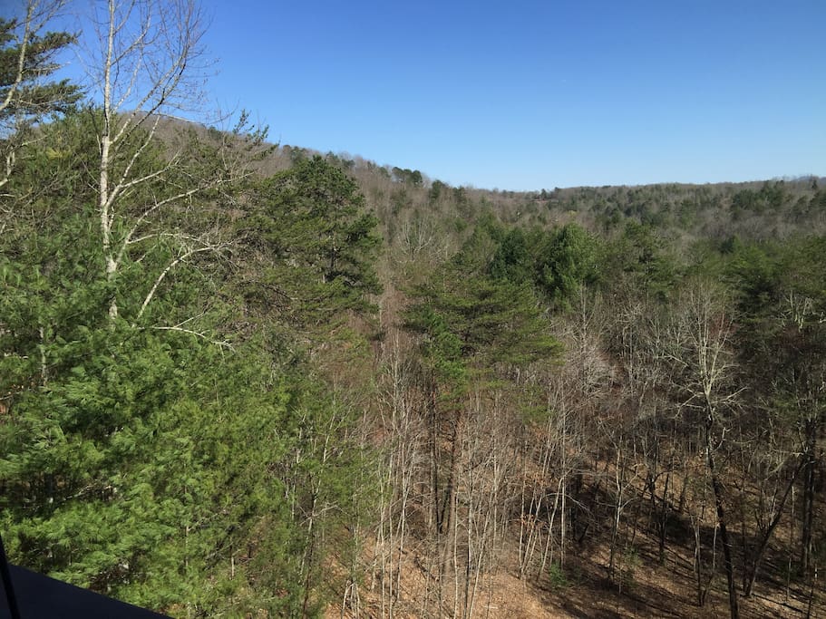 Looking from the Back Deck and Porch