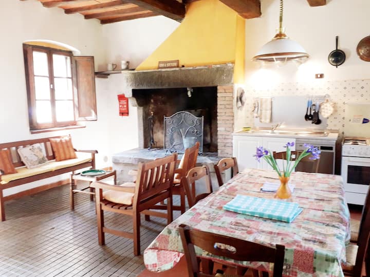 Detached Old House In A True Farm With Pool - Toscana