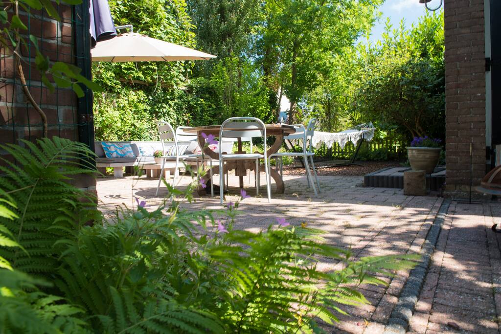 Lovely bright sunny garden