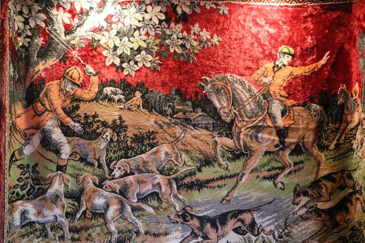 Wall Carpet, favourite in Mountainous Pella.