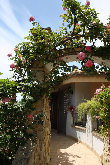 giardino