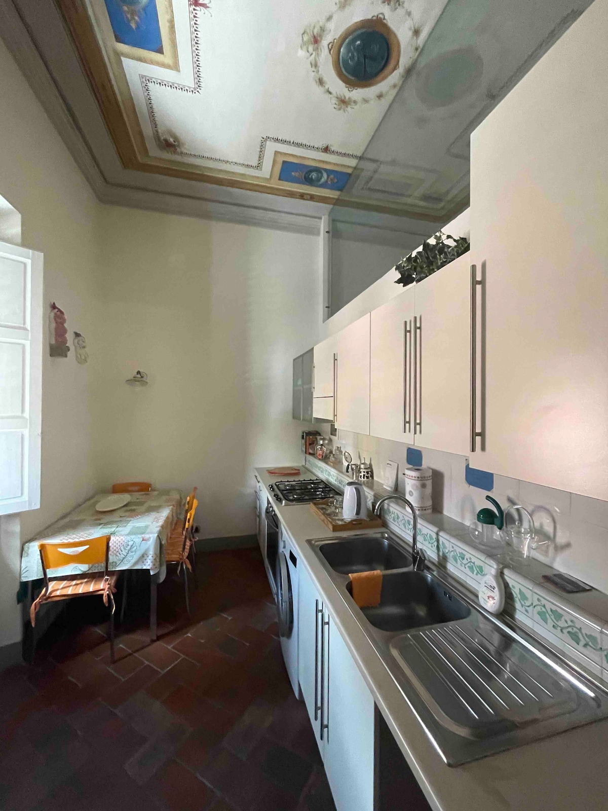 Successful Airbnb property: Charming Flat near the center of Florence in Firenze