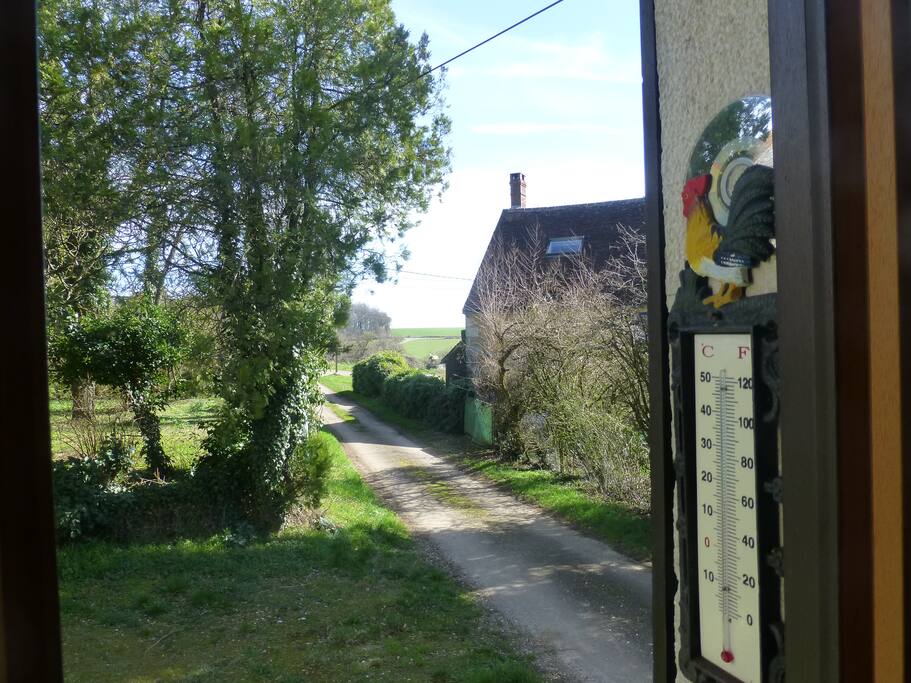 vue extérieure de la fenêtre de cuisine.