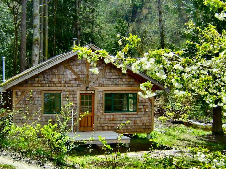 Forest garden cottage by the ocean