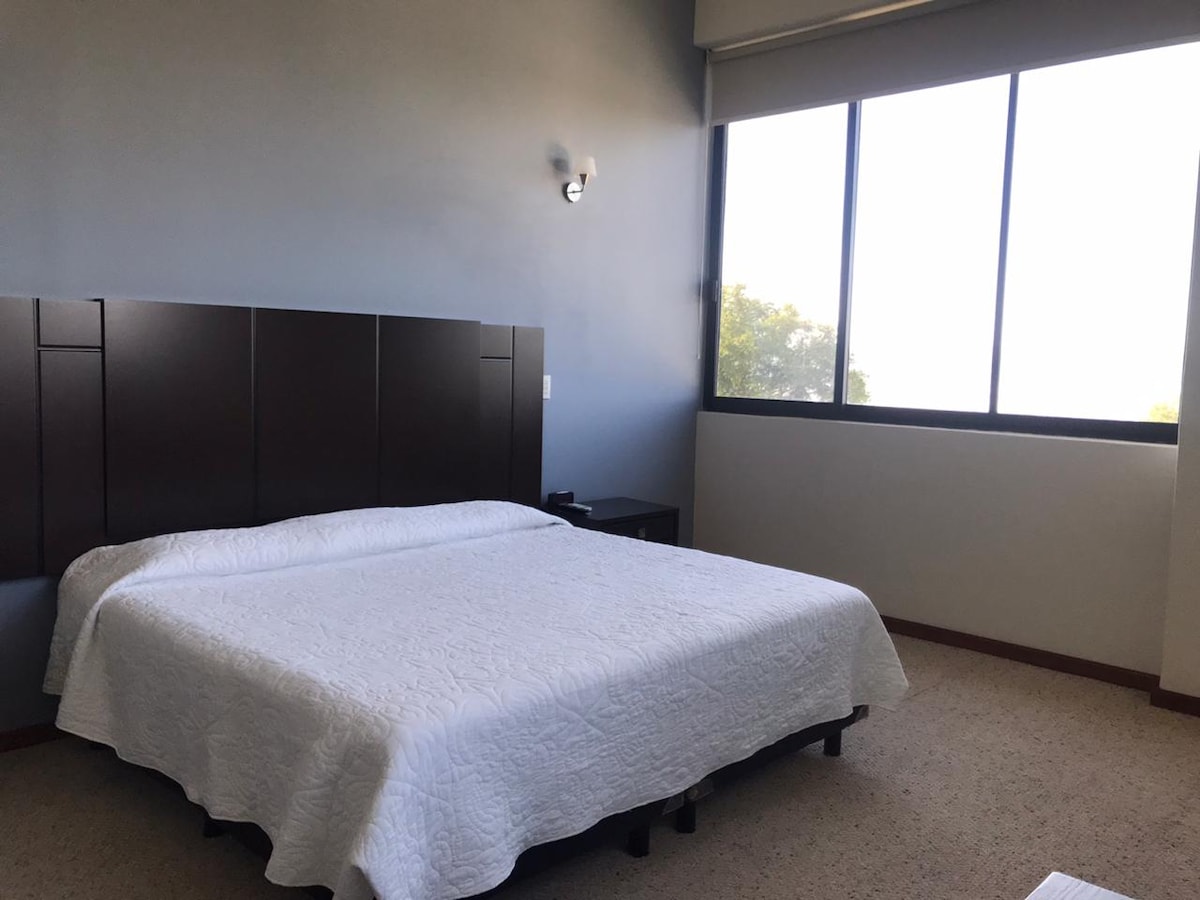 A spacious bedroom features a large bed with a white quilted coverlet. Natural light enters through a large window, revealing views of greenery. A dark wood nightstand is positioned beside the bed, complementing the neutral tones of the room and soft carpeted flooring.