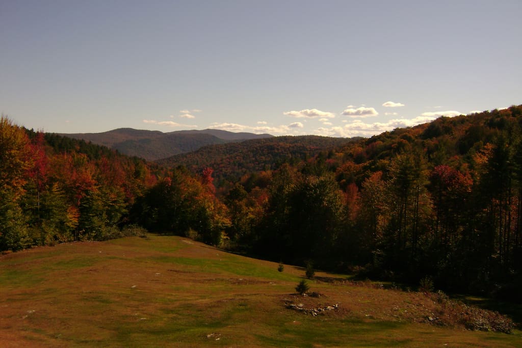 Foliage season @ Hidden House