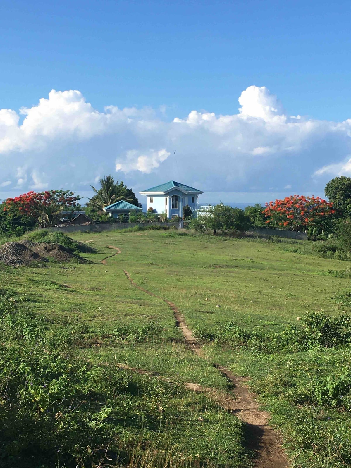 A scenic view showcases a pathway leading through lush greenery toward a charming blue house surrounded by vibrant foliage. The sky is clear, dotted with fluffy white clouds, while tropical trees and flowering plants enhance the rural landscape.