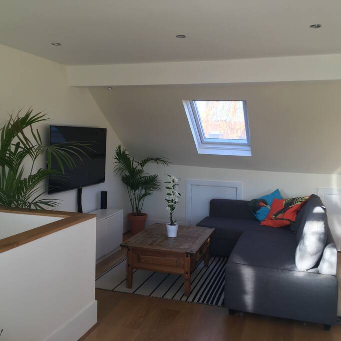Living room with Netflix and Amazon Prime and couch bed
