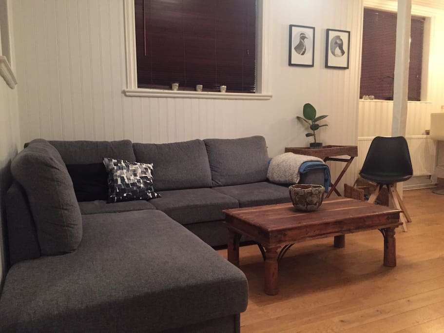 Cosy living room with cable TV and a 160 cm wide sofa-bed.