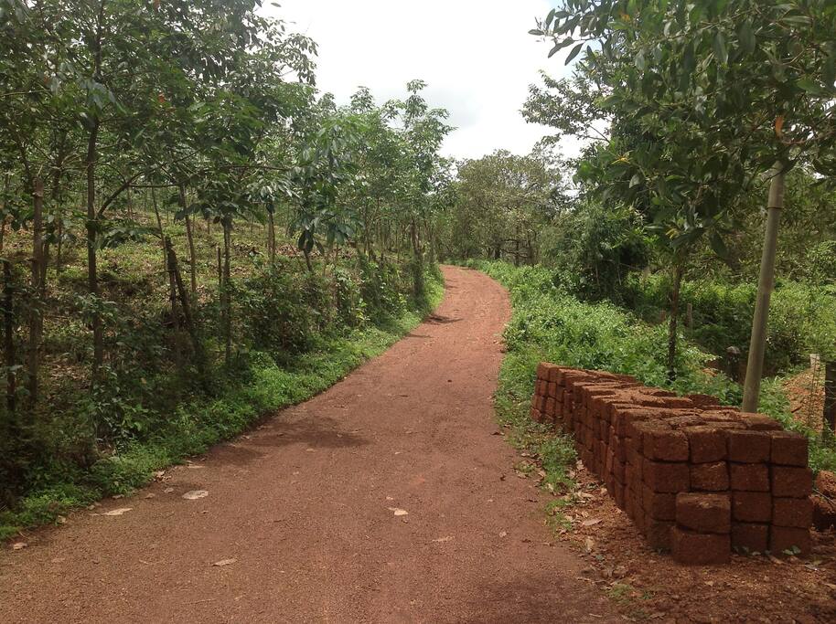 Driveway to property