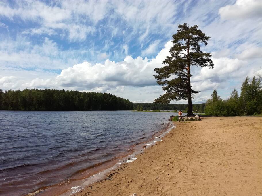 Медное озеро сертолово