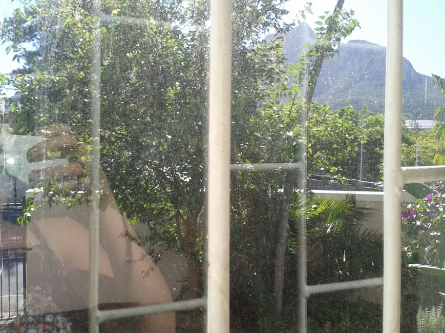 View of garden with Table mountain in the background