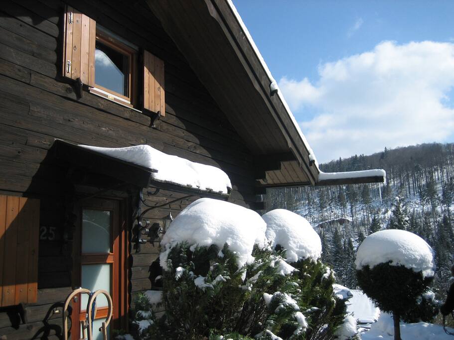 Chalet Willingen