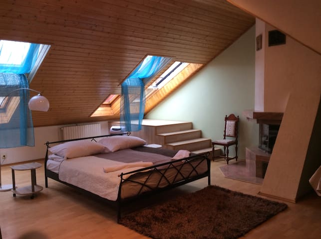 Lion's Mansard Apartment