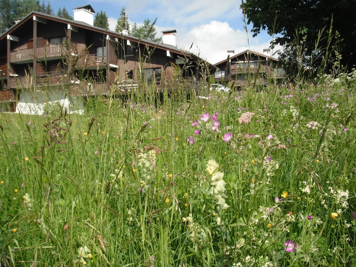 Le Bettex St Gervais on the track Apartments for Rent in SaintGervaislesBains, Rhone