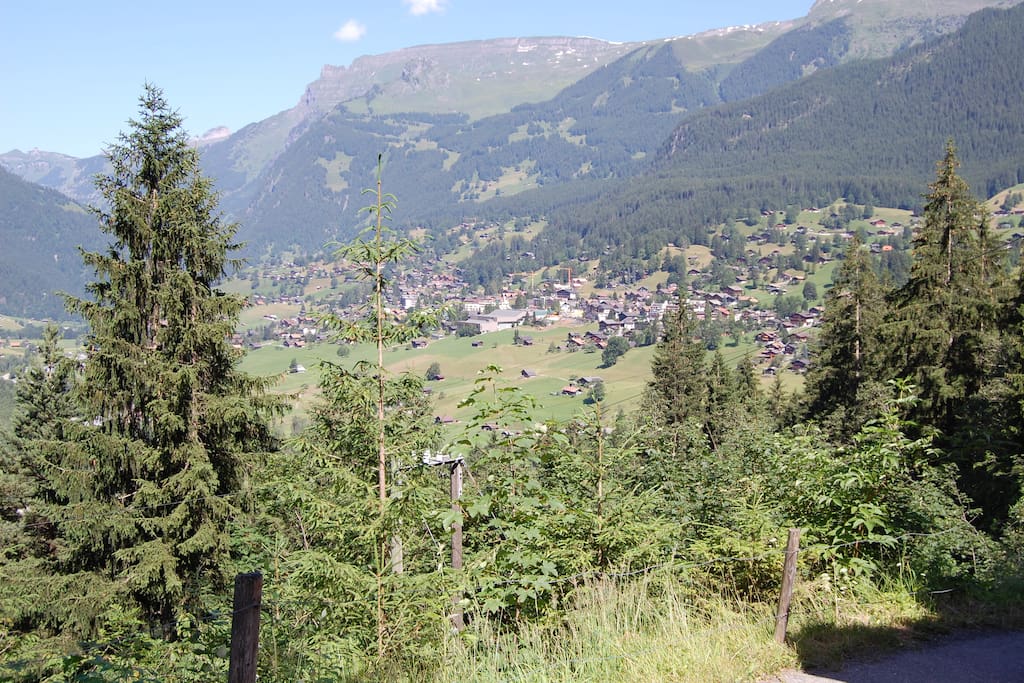 Aussicht auf Grindelwald