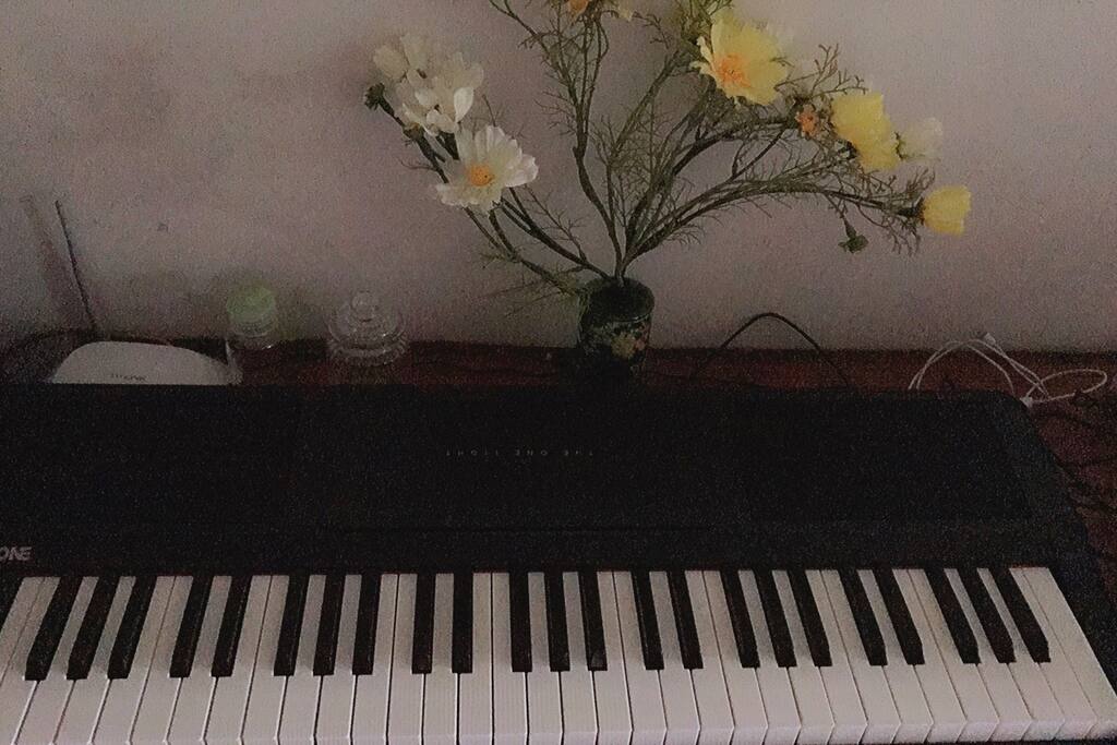 电子琴