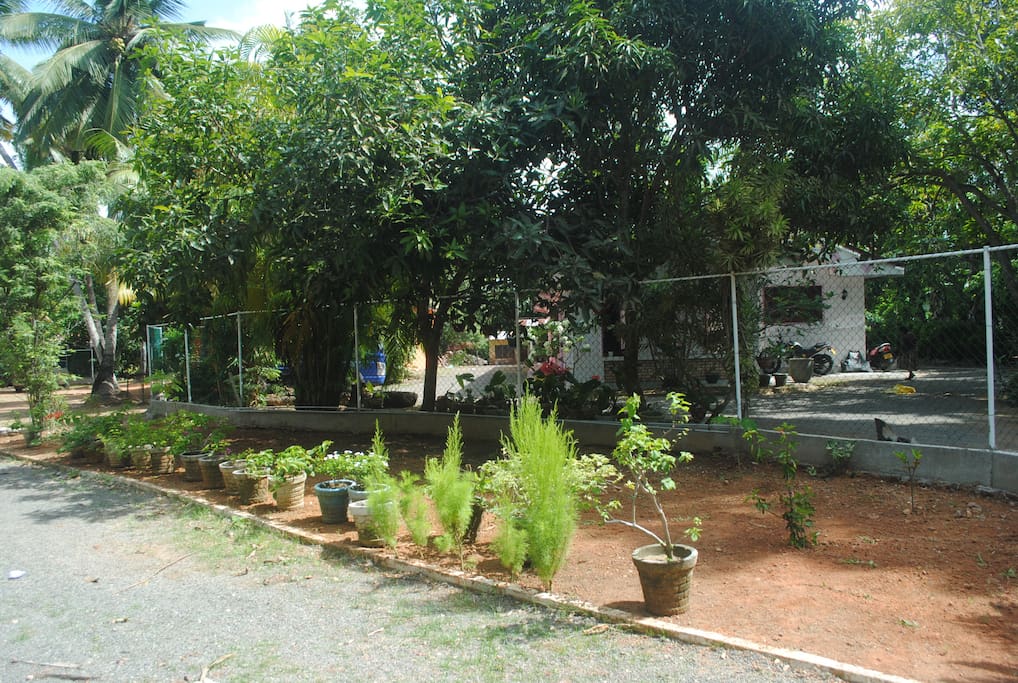 very big garden