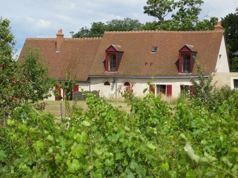 Cottage au coeur d'un vignoble