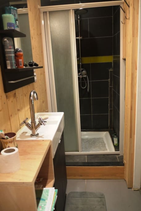 salle de bains avec grande douche confortable