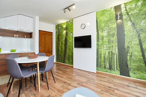 Apartment with balcony #7