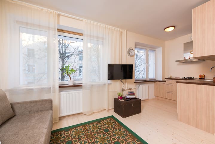 Apartment in the city center