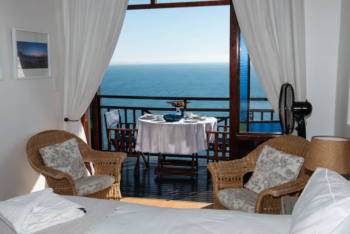 Dolphin Studio Apartment – A Whale of A Time