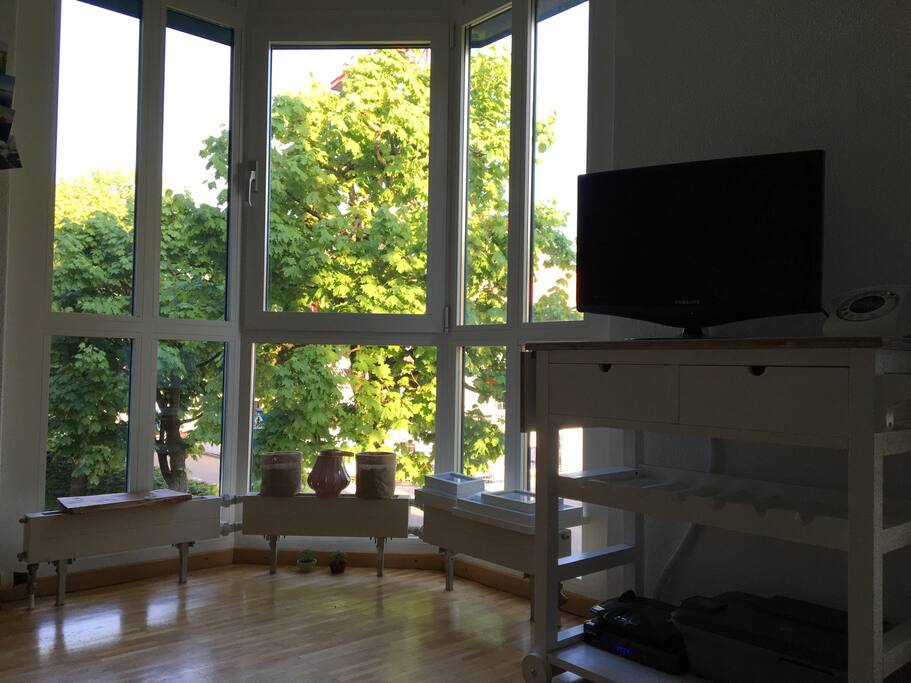 The view from the sofa