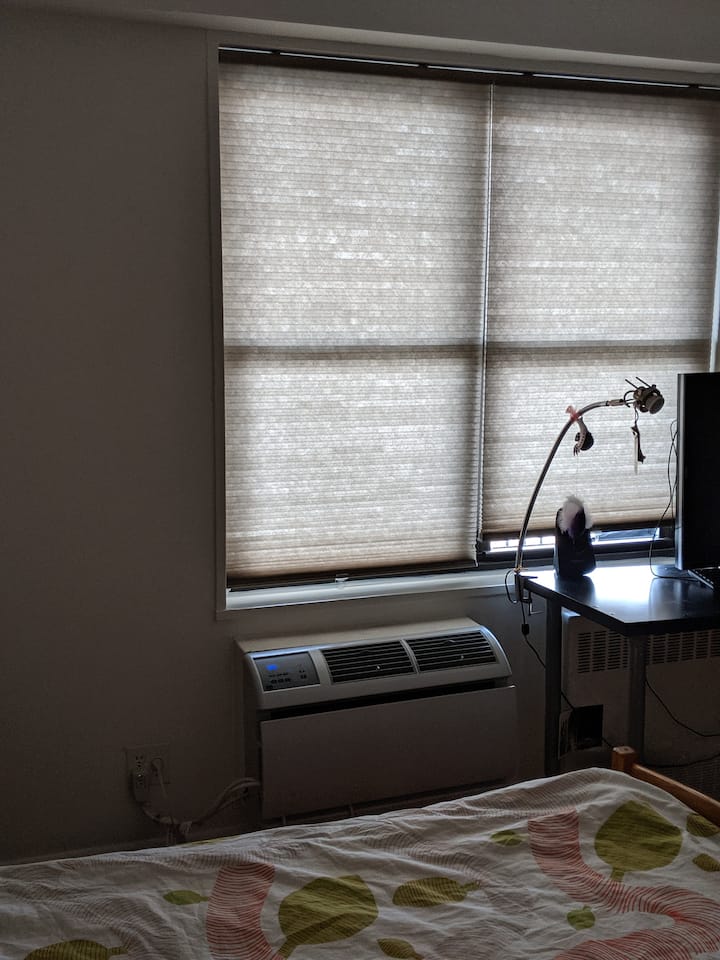 Todas las ventanas (tanto en el dormitorio como en la sala) tienen persianas solares.