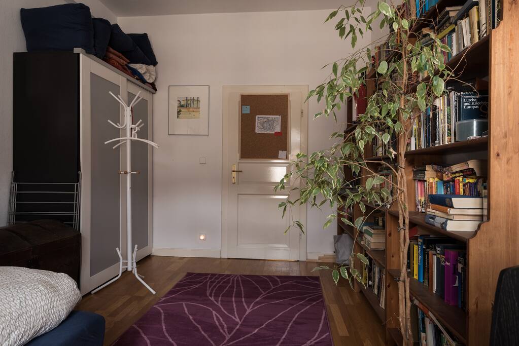 Your room
