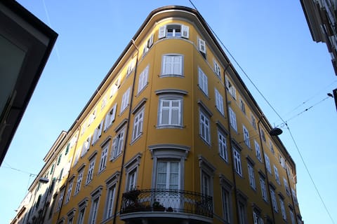 Trieste: spacious city apartment