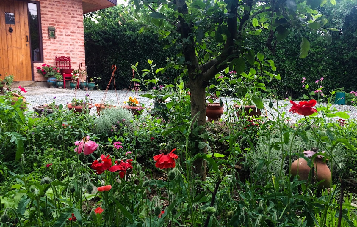 A lush garden filled with vibrant flowers and greenery surrounds a brick structure. A variety of blooms, including red and pink flowers, are seen among the garden’s foliage. Potted plants and a small tree add depth, creating a serene outdoor environment.
