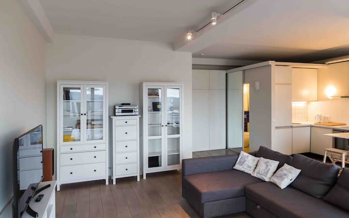 Vilnius Central Location Studio With Town Panorama - Vilna