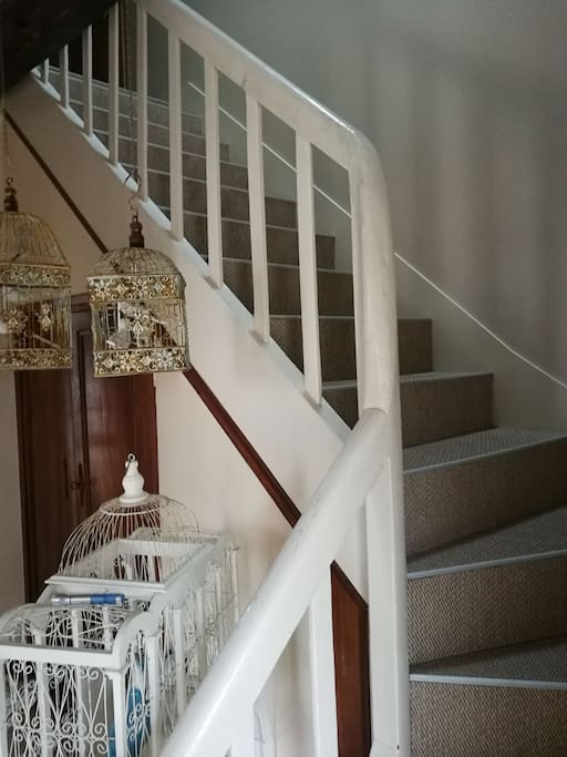 L'escalier.