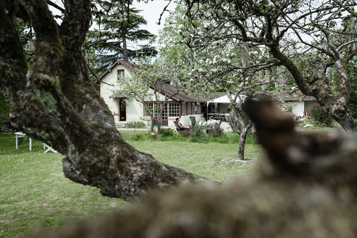The image captures a serene garden view, framed by branches of trees in bloom. The charming house, partially visible, features large windows and a shaded patio area. Lush green grass and natural surroundings create a peaceful atmosphere, inviting guests to relax and enjoy the outdoor space.
