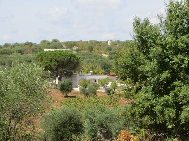 Casa Mandorlina Trullo in Ostuni, Puglia gallery image 2