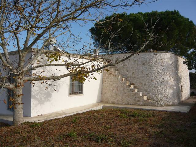 Casa Mandorlina Trullo in Ostuni, Puglia gallery image 3