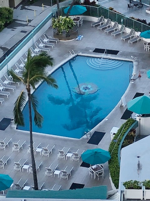 A clear swimming pool is seen surrounded by a tiled deck. Several lounge chairs are arranged around the pool, accompanied by green umbrellas. A tall palm tree casts a shadow on the water, emphasizing the tropical setting.
