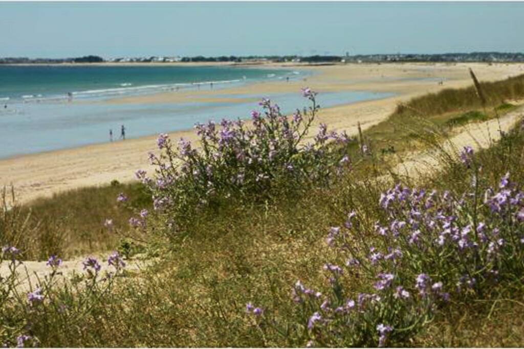 La grande plage