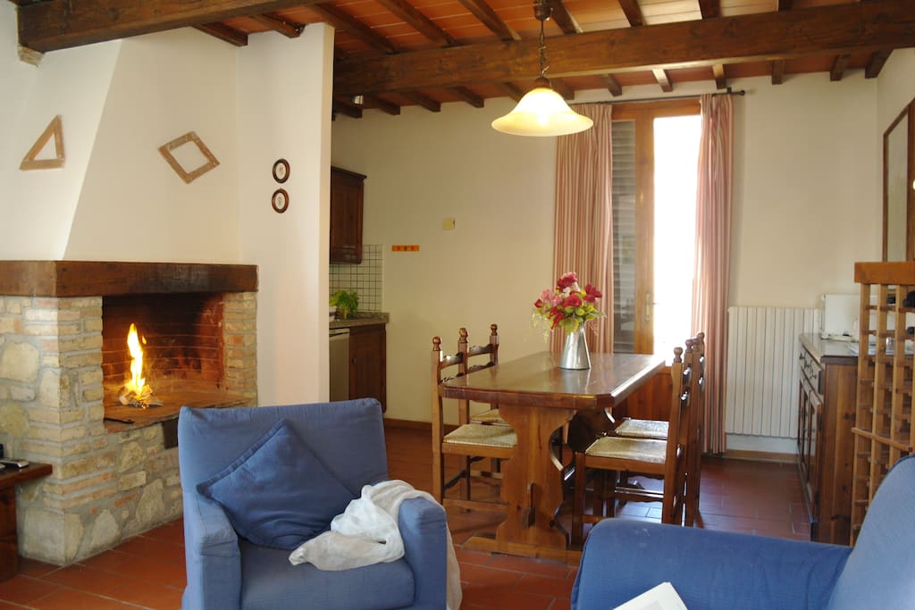 Living room and fireplace
