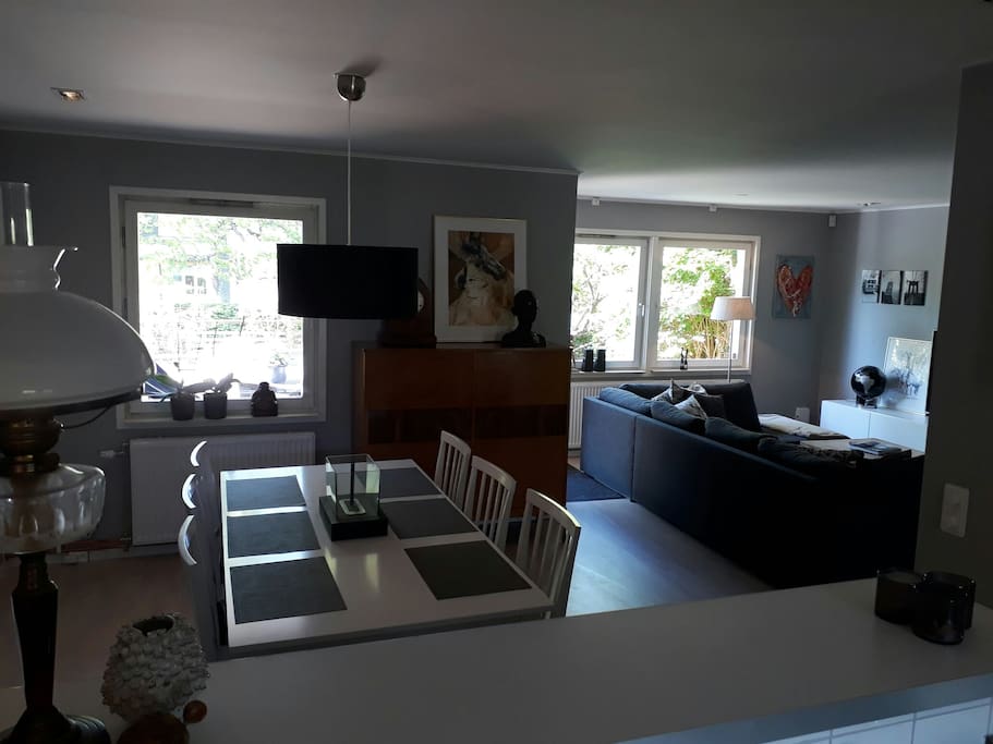 Dining table and living area