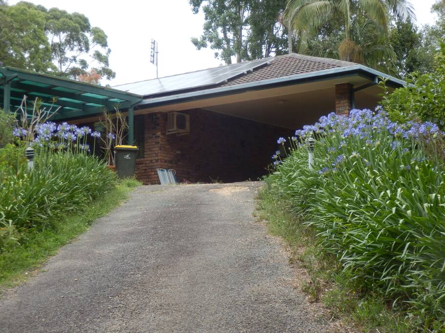 Agapanthus driveway and carport