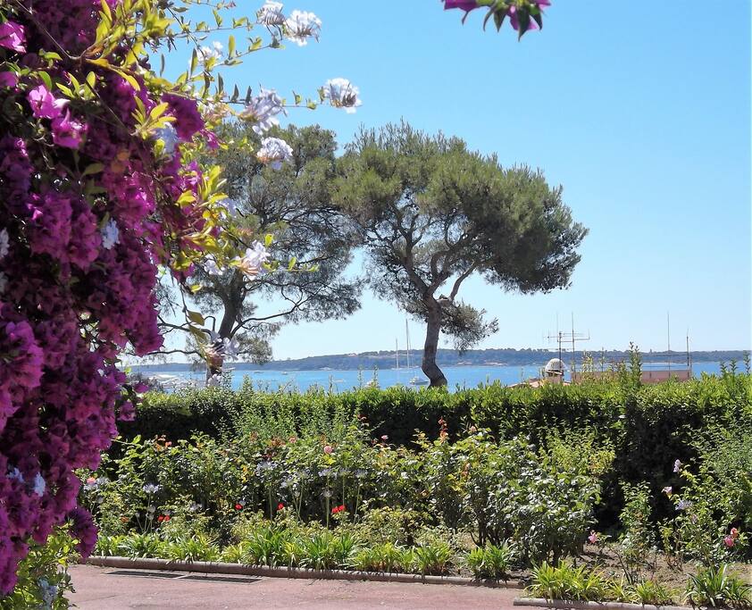 Garden Parc Continental