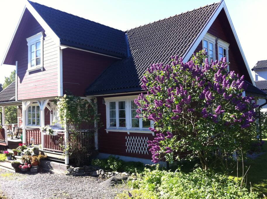Jønholtdalen ligger 10 min. gange fra sentrum. Svært fredelig og idyllisk.