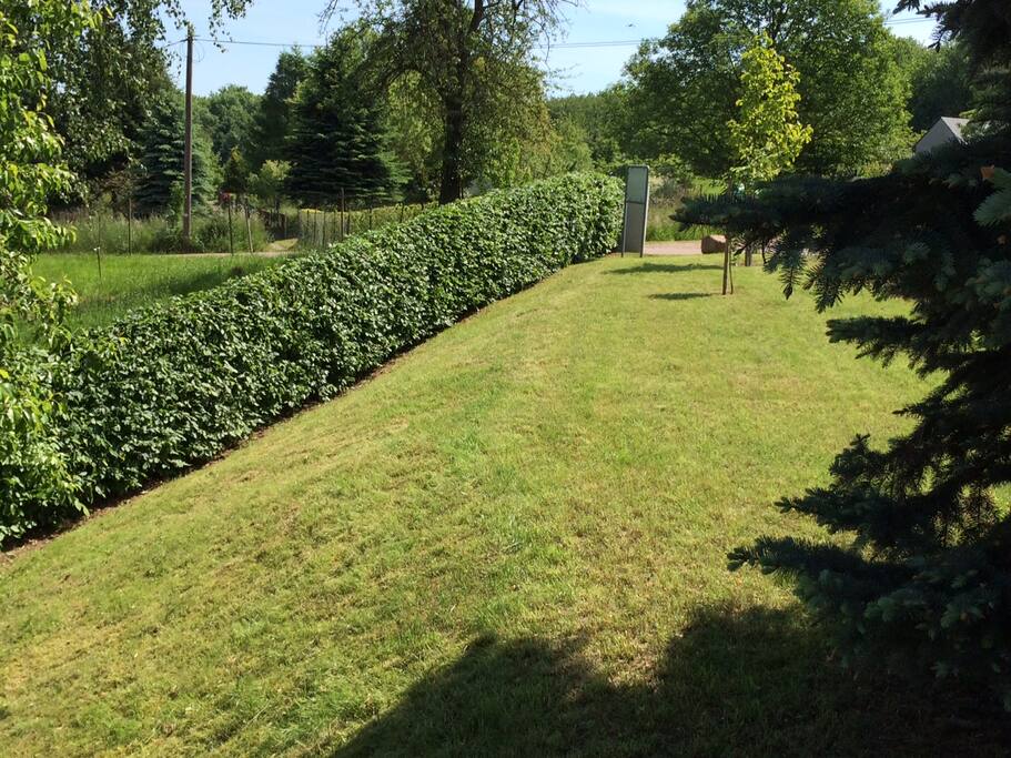 Garten