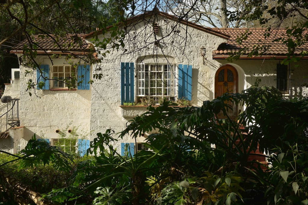 A second floor apartment nestled in a lush garden with big trees, giving you the feeling you're no longer in the city.