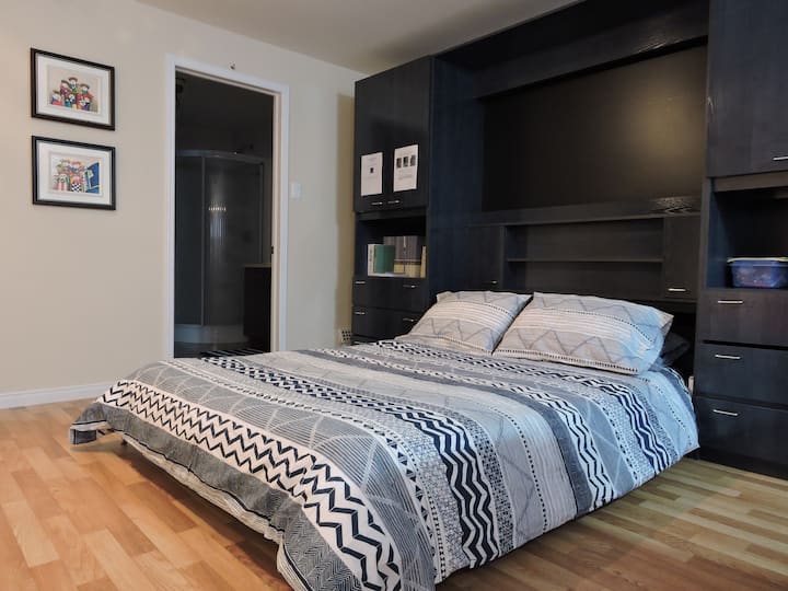 地下室：地下室客厅的可伸缩标准双人床。 它与沙发床在同一个房间。